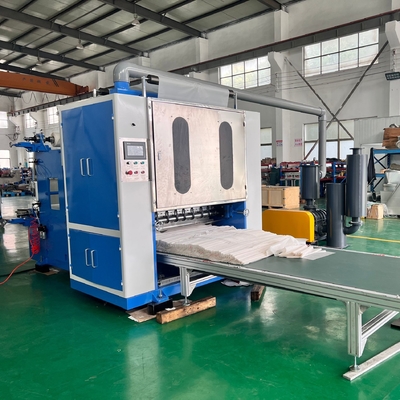 comprare Macchina di estrazione di carta di plastica completamente automatica per le dimensioni del rotolo madre online manufacture